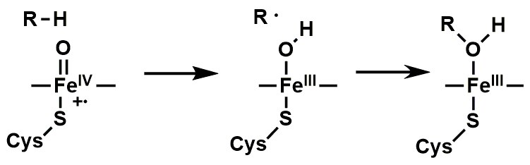 File:FeIVO 2.tif