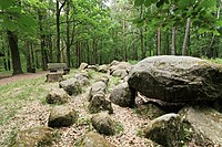 Steingrab: Großsteingrab in der Kunkenvenne