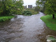 Owenascaul River in Anascaul - geograph.org.uk - 256296.jpg