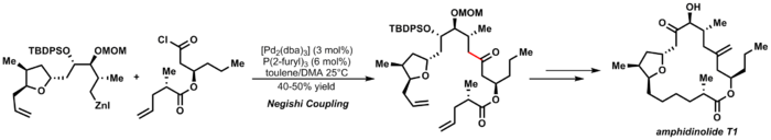 Negishi Cross coupling reaction in the total synthesis of Amphidinolide T1