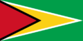 Bandeira Civil da Guiana.