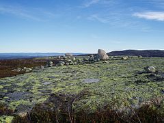 View towards east in eastern Norway