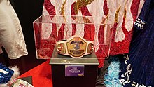 WWF Women's Championship (1993-1995).jpg