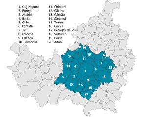 Poziția localității Zona Metropolitană Cluj