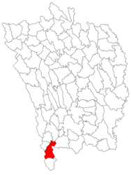 Location in Vaslui County