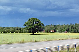 Швеция (Sweden) - panoramio (5).jpg