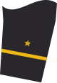 Ärmelabzeichen Dienstanzug Marineuniformträger (Truppendienst oder militärfachlicher Dienst)