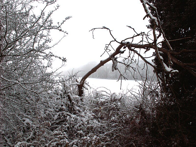 File:A view south from the A52 east from Grantham, Lincolnshire - Dec 2005 (3).JPG