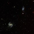 Arp 305 (NGC 4016 und NGC 4017)