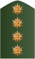 Controspallina di general de Ejército Nacional de Colombia