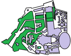 Map showing the various buildings and structures of Vatican City in purple with a red dot indicating the location of St. Peter's Basilica