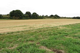 Stand of trees by Washbrook Farm - geograph.org.uk - 5893917.jpg