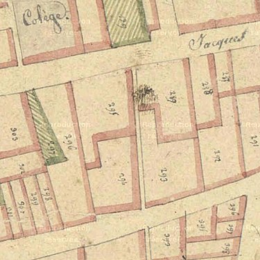 Plan cadastral de 1823 représentant les parcelles et la ruelle sur ces lieux.