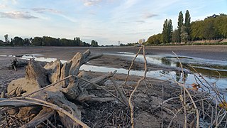 Allier à Vichy lors de la vidange du lac d'Allier 4.jpg