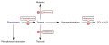 SVG - überarbetet