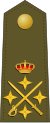 General de Ejército