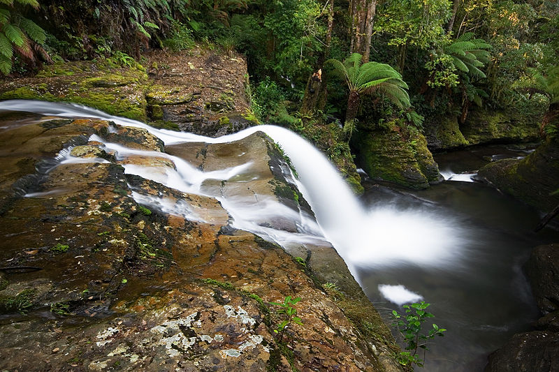 File:Spout Falls, Liffey, Tasmania.jpg