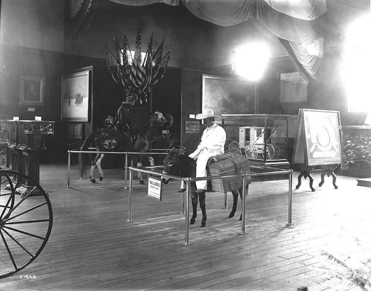 File:Model of a Puerto Rican mail carrier mounted on a donkey, United States Government Building, Alaska Yukon Pacific Exposition (AYP 150).jpeg