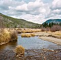 * Nomination The Colorado River near Holzwarth Historic District in Rocky Mountain National Park. Taken with a Rolleiflex 3.5F on Kodak Portra 400. --Frank Schulenburg 04:38, 30 October 2024 (UTC) * Promotion Pleasing composition. The sky is rather noisy and the trees on the left have a strange texture. --Tagooty 04:46, 30 October 2024 (UTC) Tagooty, thanks so much for your feedback! I've uploaded a new version provided by Radomianin. Please keep in mind that this is a medium-format film image, so the grain is desired rather than an issue. Thanks again and all the best! --Frank Schulenburg 04:47, 31 October 2024 (UTC)  Support Much improved. Thanks for the explanation. --Tagooty 12:24, 3 November 2024 (UTC)