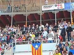 Concurs de Castells 2008 P1220784.JPG