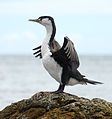 Kapiti Coast, New Zealand