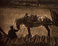 A Snapshot: Paris, 1911