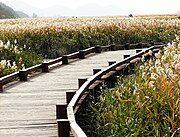 Walking path in the park (2008)