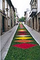 Alfombras florais do Corpus na rúa maior de Sarria.