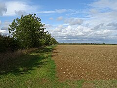 Field margin near Charlton House Farm - geograph.org.uk - 6283954.jpg