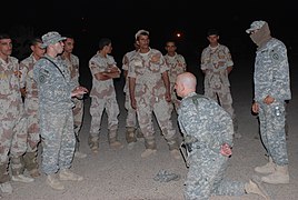 IA, Gimlet MiTT conduct cache search during Operation Gimlet Tidal Wave DVIDS120913.jpg