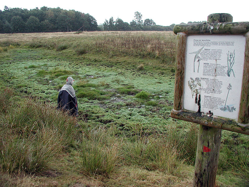 File:Infotafel-zur-Flora-am-Lehrpfad.jpg