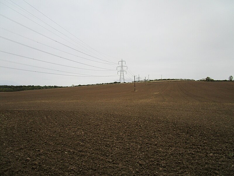 File:Sown field and electricity pylons - geograph.org.uk - 6632815.jpg