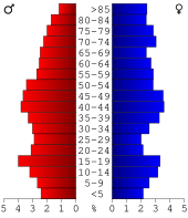 Bevolkingspiramide Gogebic County