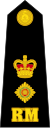 Lieutenant-colonel