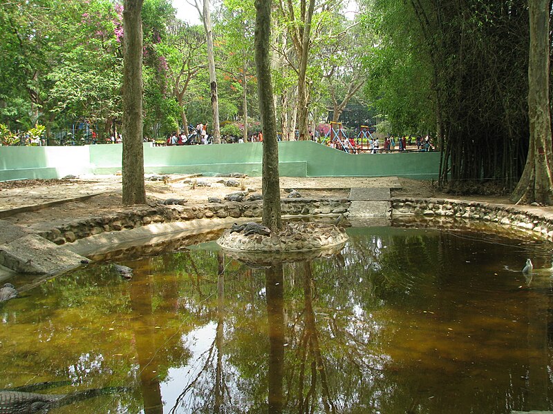 File:Crocodiles at Bannerghatta National Park 4-24-2011 1-22-58 PM.JPG