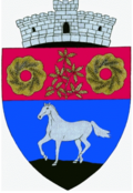 Wappen von Șopotu Nou