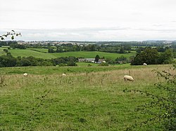 Red Hill Farm and fields sheep pasture at Bredenbury, Herefordshire, England