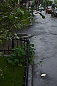 Stolperstein in Oslo