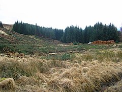 Tree harvesting, Acurrach - geograph.org.uk - 151751.jpg