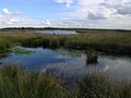 De Groote Peel in Zuidoost-Brabant