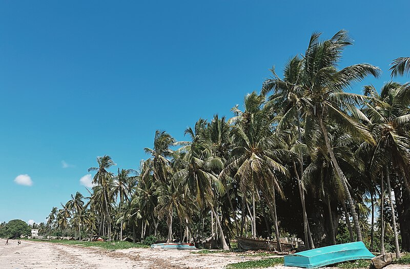 File:Beach scene in Pemba Mnazi, Kigamboni.jpg