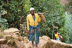 Eine Frau im Distrikt Burera mit als Brennholz gesammelten Eucalyptus-Ästen