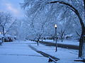 Image 36Snow in Rose Park, Salt Lake City (from Utah)