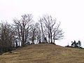 Túmul a Tavertet (Osona).