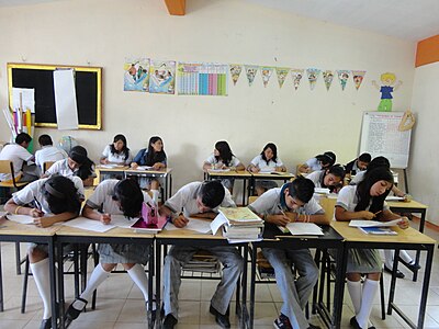 filling out surveys in Herminino Salas Gil in Temacunchale, San Luis Potosi, Mexico