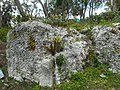 Rock outcrop closeup