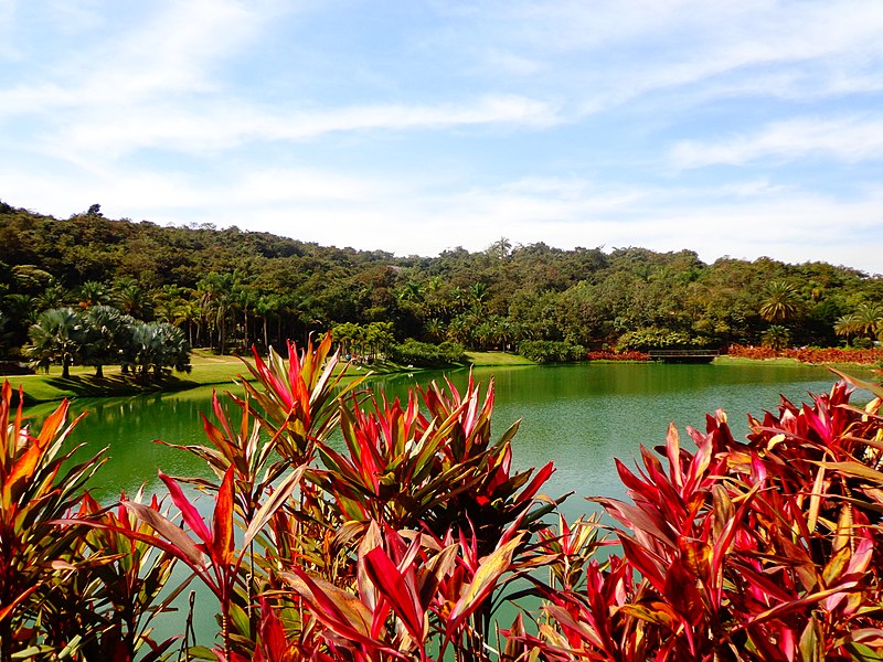 File:Brumadinho MG Brasil - Inhotim - panoramio (4).jpg