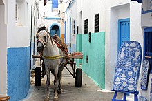 Charrette hippomobile attelée d'un cheval gris, vue de face, dans une rue étroite avec des maisons peintes en bleu et en blanc.