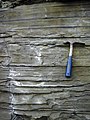 Argillite (shale) in affioramento. Argille e argilliti, sostanzialmente prive di permeabilità, sono le rocce di copertura (caprock) più comuni.
