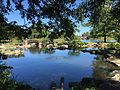 The koi pond.